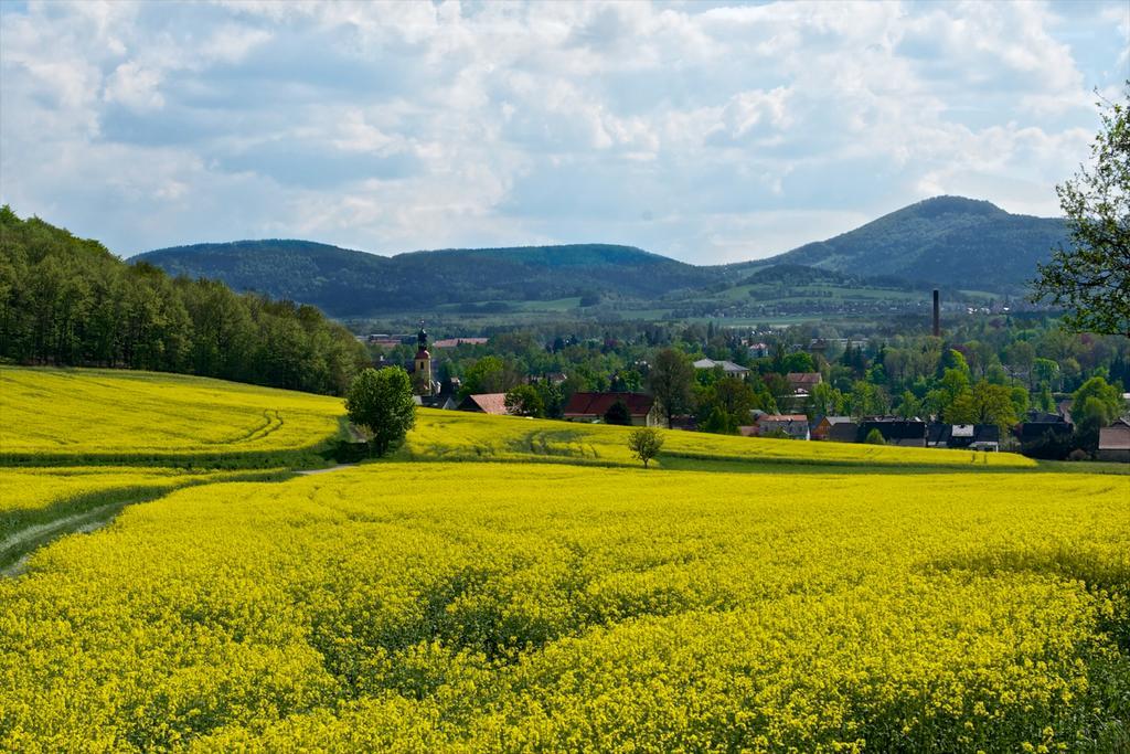 Landhotel Quirle-Haeusl Waltersdorf  Luaran gambar